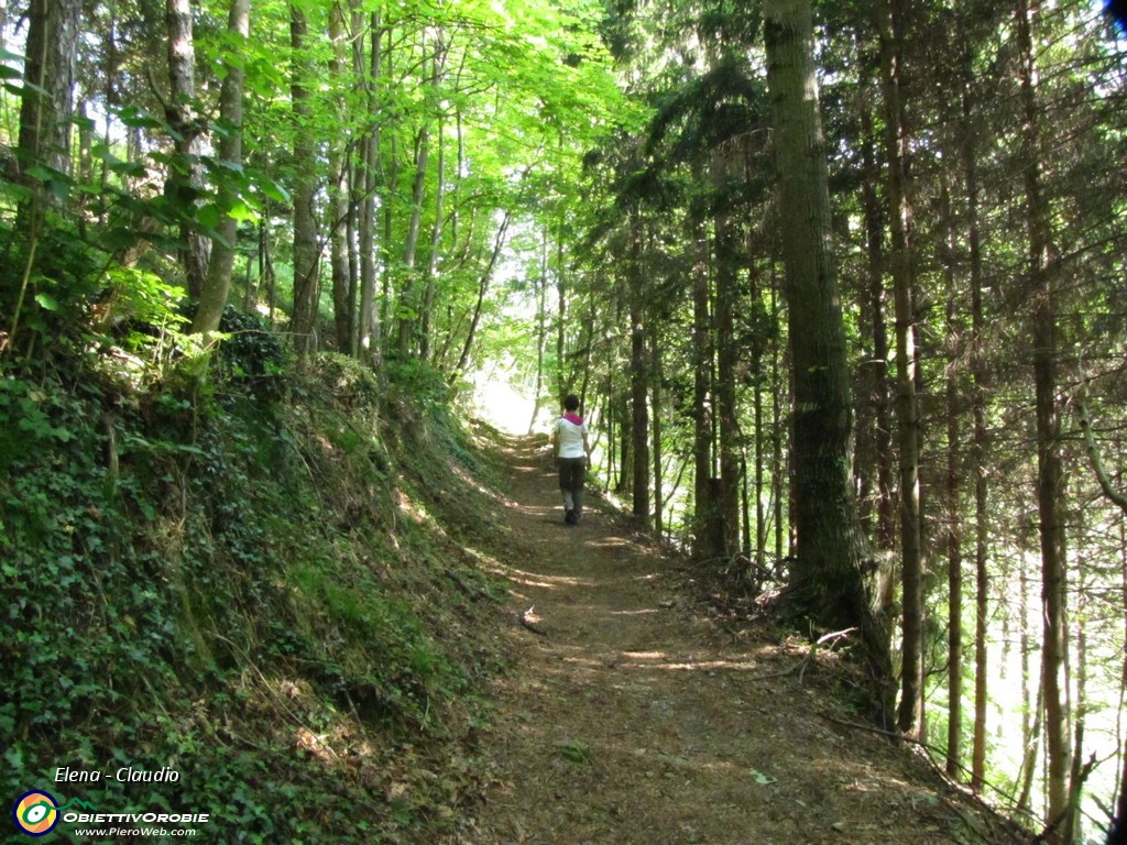 01 Si entra nel bosco.JPG